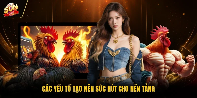 Các yếu tố tạo nên sức hút cho nền tảng